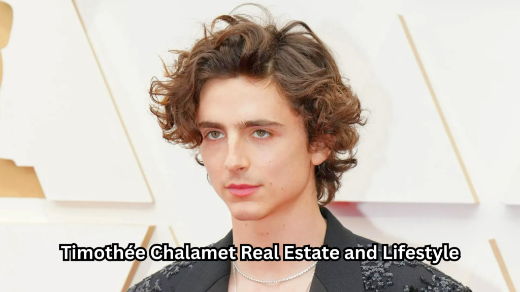 Timothée Chalamet Net Worth